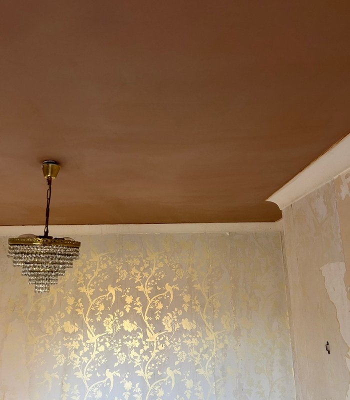 Freshly plastered ceiling